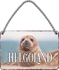 4252024211801 Schilderstore24 Schilderstore24 Blechschilder sind perfekt als Geschenk zu Weihnachten, Geburtstage, Feiern, Partys, Grillabende, Namenstag, Feiertag, Mädelsabend, Hochzeit. Jederzeit stilvoll im Wohnzimmer, Partykeller, Garage, Praxis, Büro, Café, Hauseingang Landschaften Orte Städte Länder Urlaub See berge burgen schloss tal denkmal freizeit meer	 ''Helgoland''		18x12cm