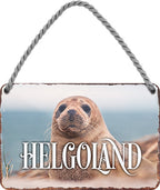4252024211801 Schilderstore24 Schilderstore24 Blechschilder sind perfekt als Geschenk zu Weihnachten, Geburtstage, Feiern, Partys, Grillabende, Namenstag, Feiertag, Mädelsabend, Hochzeit. Jederzeit stilvoll im Wohnzimmer, Partykeller, Garage, Praxis, Büro, Café, Hauseingang Landschaften Orte Städte Länder Urlaub See berge burgen schloss tal denkmal freizeit meer	 ''Helgoland''		18x12cm