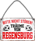 4252024204537 Schilderstore24 	Schilderstore24 Blechschilder sind perfekt als Geschenk zu Weihnachten, Geburtstage, Feiern, Partys, Grillabende, Namenstag, Feiertag, Mädelsabend, Hochzeit. Jederzeit stilvoll im Wohnzimmer, Partykeller, Garage, Praxis, Büro, Café, Hauseingang Fußball Mannschaft Verein Bolzen Ball sport liga kicken stadion freizeit ''Träume von Regensburg''		18x12cm