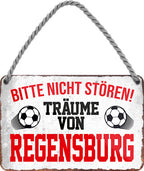4252024204537 Schilderstore24 	Schilderstore24 Blechschilder sind perfekt als Geschenk zu Weihnachten, Geburtstage, Feiern, Partys, Grillabende, Namenstag, Feiertag, Mädelsabend, Hochzeit. Jederzeit stilvoll im Wohnzimmer, Partykeller, Garage, Praxis, Büro, Café, Hauseingang Fußball Mannschaft Verein Bolzen Ball sport liga kicken stadion freizeit ''Träume von Regensburg''		18x12cm