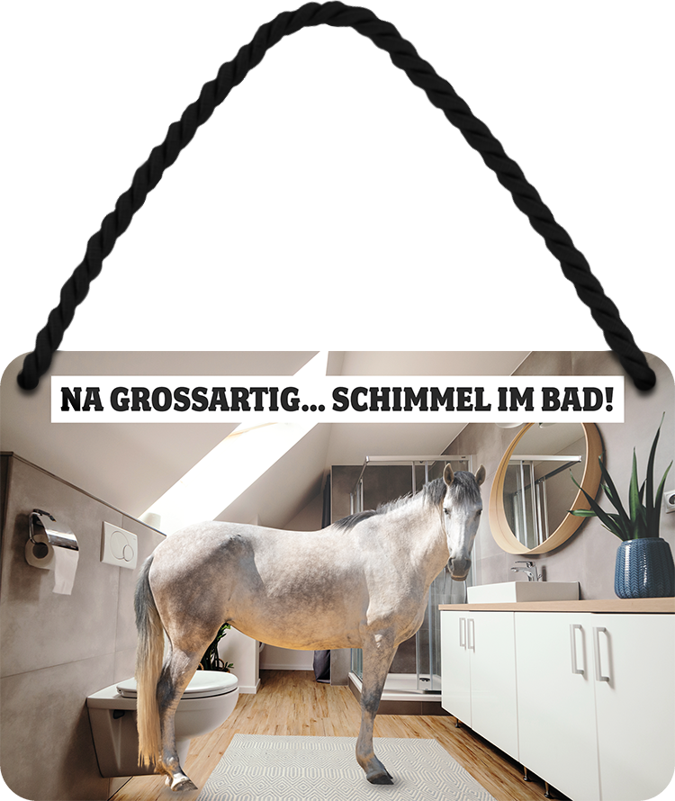 4252024207149 Schilderstore24 Blechschilder sind perfekt als Geschenk zu Weihnachten, Geburtstage, Feiern, Partys, Grillabende, Namenstag, Feiertag, Mädelsabend, Hochzeit. Jederzeit stilvoll im Wohnzimmer, Partykeller, Garage, Praxis, Büro, Café, Hauseingang Nutztier Pferd Reiten Pony Stall sattel ausreiten pferd tier landwirtschaft