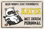 4252024235715		 ''Hier wohnt eine verwöhnte Katze'' Schilderstore24 Blechschilder sind perfekt als Geschenk zu Weihnachten, Geburtstage, Feiern, Partys, Grillabende, Namenstag, Feiertag, Mädelsabend, Hochzeit Wohnzimmer, Partykeller, Garage, Praxis, Büro, Café, Hauseingang Haustier Tier Freund knuddelig Zuhause Katze Hund Hamster Meerschwein haustier