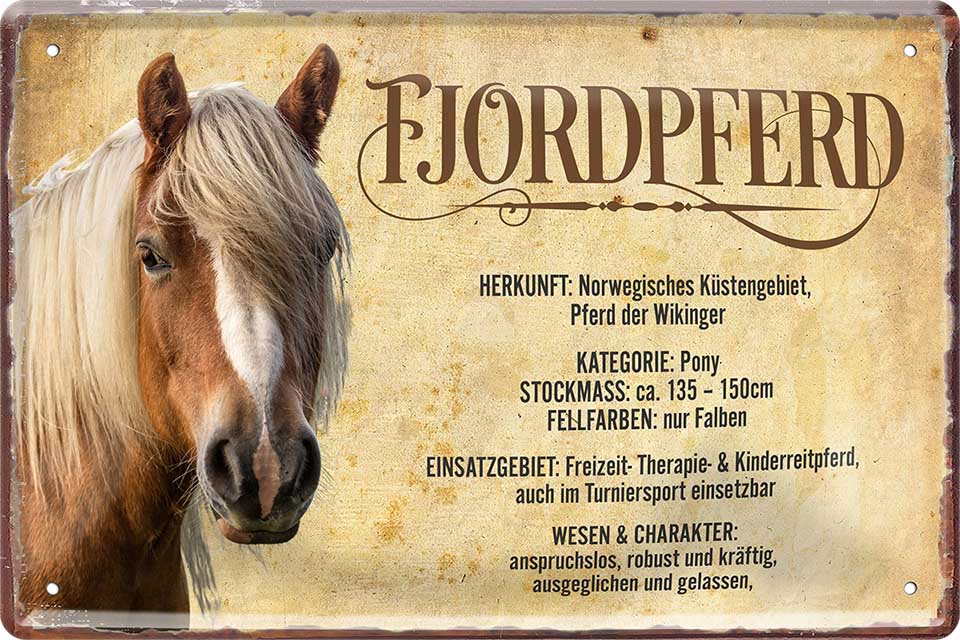 4252024218763 Schilderstore24 Schilderstore24 Blechschilder sind perfekt als Geschenk zu Weihnachten, Geburtstage, Feiern, Partys, Grillabende, Namenstag, Feiertag, Mädelsabend, Hochzeit. Jederzeit stilvoll im Wohnzimmer, Partykeller, Garage, Praxis, Büro, Café, Hauseingang Nutztier Pferd Reiten Pony Stall sattel ausreiten pferd tier landwirtschaft	 ''Fjordpferd''		20x30cm