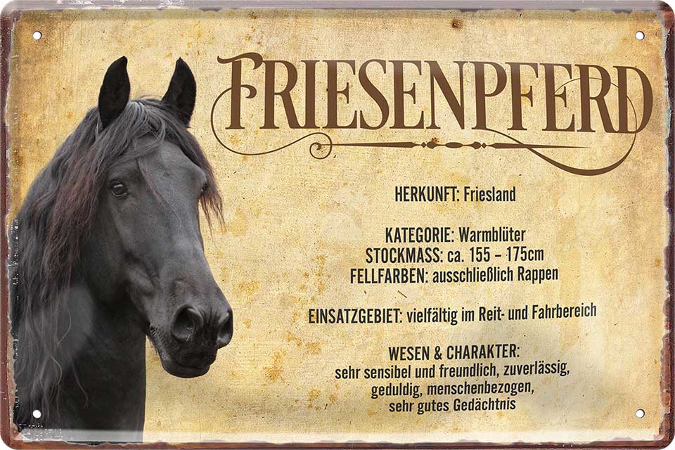4252024218770 Schilderstore24 Schilderstore24 Blechschilder sind perfekt als Geschenk zu Weihnachten, Geburtstage, Feiern, Partys, Grillabende, Namenstag, Feiertag, Mädelsabend, Hochzeit. Jederzeit stilvoll im Wohnzimmer, Partykeller, Garage, Praxis, Büro, Café, Hauseingang Nutztier Pferd Reiten Pony Stall sattel ausreiten pferd tier landwirtschaft	 ''Friesenpferd''		20x30cm