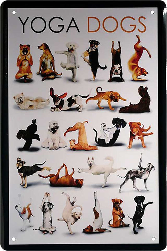 4252024218022 Schilderstore24 Schilderstore24 Blechschilder sind perfekt als Geschenk zu Weihnachten, Geburtstage, Feiern, Partys, Grillabende, Namenstag, Feiertag, Mädelsabend, Hochzeit. Jederzeit stilvoll im Wohnzimmer, Partykeller, Garage, Praxis, Büro, Café, Hauseingang Haustier Tier Freund knuddelig Zuhause Katze Hund Hamster Meerschwein haustier	 ''Yoga Dogs''		20x30cm