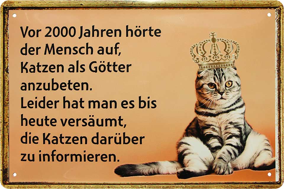 4252024218213 Schilderstore24 Schilderstore24 Blechschilder sind perfekt als Geschenk zu Weihnachten, Geburtstage, Feiern, Partys, Grillabende, Namenstag, Feiertag, Mädelsabend, Hochzeit. Jederzeit stilvoll im Wohnzimmer, Partykeller, Garage, Praxis, Büro, Café, Hauseingang Haustier Tier Freund knuddelig Zuhause Katze Hund Hamster Meerschwein haustier	 ''Katze Vor 2000 Jahre hörte der Mensch auf, Katzen al Götter anzubeten''		20x30cm