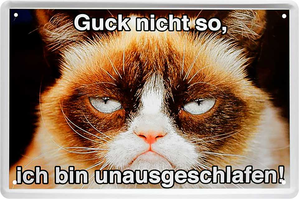 4252024218138 Schilderstore24 Schilderstore24 Blechschilder sind perfekt als Geschenk zu Weihnachten, Geburtstage, Feiern, Partys, Grillabende, Namenstag, Feiertag, Mädelsabend, Hochzeit. Jederzeit stilvoll im Wohnzimmer, Partykeller, Garage, Praxis, Büro, Café, Hauseingang Haustier Tier Freund knuddelig Zuhause Katze Hund Hamster Meerschwein haustier	 ''Katze Guck nicht so, ich bin nicht ausgeschlafen''		20x30cm
