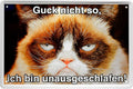4252024218138 Schilderstore24 Schilderstore24 Blechschilder sind perfekt als Geschenk zu Weihnachten, Geburtstage, Feiern, Partys, Grillabende, Namenstag, Feiertag, Mädelsabend, Hochzeit. Jederzeit stilvoll im Wohnzimmer, Partykeller, Garage, Praxis, Büro, Café, Hauseingang Haustier Tier Freund knuddelig Zuhause Katze Hund Hamster Meerschwein haustier	 ''Katze Guck nicht so, ich bin nicht ausgeschlafen''		20x30cm