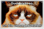 4252024218138 Schilderstore24 Schilderstore24 Blechschilder sind perfekt als Geschenk zu Weihnachten, Geburtstage, Feiern, Partys, Grillabende, Namenstag, Feiertag, Mädelsabend, Hochzeit. Jederzeit stilvoll im Wohnzimmer, Partykeller, Garage, Praxis, Büro, Café, Hauseingang Haustier Tier Freund knuddelig Zuhause Katze Hund Hamster Meerschwein haustier	 ''Katze Guck nicht so, ich bin nicht ausgeschlafen''		20x30cm