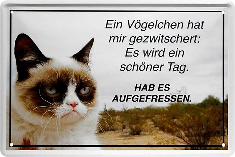 4252024218091 Schilderstore24 	Schilderstore24 Blechschilder sind perfekt als Geschenk zu Weihnachten, Geburtstage, Feiern, Partys, Grillabende, Namenstag, Feiertag, Mädelsabend, Hochzeit. Jederzeit stilvoll im Wohnzimmer, Partykeller, Garage, Praxis, Büro, Café, Hauseingang Haustier Tier Freund knuddelig Zuhause Katze Hund Hamster Meerschwein haustier ''Katze Ein Vögelchen hat mir gezwitschert. hab es..''		20x30cm