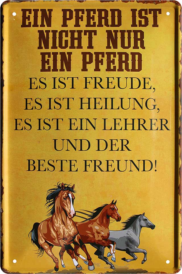 4252024218725 Schilderstore24 	Schilderstore24 Blechschilder sind perfekt als Geschenk zu Weihnachten, Geburtstage, Feiern, Partys, Grillabende, Namenstag, Feiertag, Mädelsabend, Hochzeit. Jederzeit stilvoll im Wohnzimmer, Partykeller, Garage, Praxis, Büro, Café, Hauseingang Nutztier Pferd Reiten Pony Stall sattel ausreiten pferd tier landwirtschaft ''Ein Pferd ist nicht nur ein Pferd. Bester Freund''		20x30cm