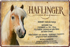 4252024218794 Schilderstore24 Schilderstore24 Blechschilder sind perfekt als Geschenk zu Weihnachten, Geburtstage, Feiern, Partys, Grillabende, Namenstag, Feiertag, Mädelsabend, Hochzeit. Jederzeit stilvoll im Wohnzimmer, Partykeller, Garage, Praxis, Büro, Café, Hauseingang Nutztier Pferd Reiten Pony Stall sattel ausreiten pferd tier landwirtschaft	 ''Haflinger''		20x30cm
