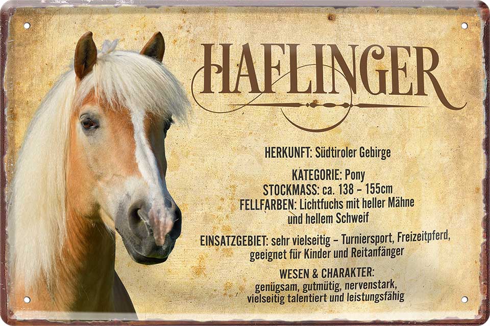 4252024218794 Schilderstore24 Schilderstore24 Blechschilder sind perfekt als Geschenk zu Weihnachten, Geburtstage, Feiern, Partys, Grillabende, Namenstag, Feiertag, Mädelsabend, Hochzeit. Jederzeit stilvoll im Wohnzimmer, Partykeller, Garage, Praxis, Büro, Café, Hauseingang Nutztier Pferd Reiten Pony Stall sattel ausreiten pferd tier landwirtschaft	 ''Haflinger''		20x30cm