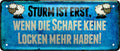 4252024228489 Schilderstore24 Schilderstore24 Blechschilder sind perfekt als Geschenk zu Weihnachten, Geburtstage, Feiern, Partys, Grillabende, Namenstag, Feiertag, Mädelsabend, Hochzeit. Jederzeit stilvoll im Wohnzimmer, Partykeller, Garage, Praxis, Büro, Café, Hauseingang Meer Urlaub Sommer Sandstrand meer wasser strand sand urlaub ferien	 ''Sturm ist erst, wenn die Schafe keine Locken mehr haben''		28x12cm