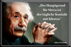 4252024229851	Schilderstore24	 ''Der Hauptgrund für Stress (Einstein)''Schilderstore24 Blechschilder sind perfekt als Geschenk zu Weihnachten, Geburtstage, Feiern, Partys, Grillabende, Namenstag, Feiertag, Mädelsabend, Hochzeit. Jederzeit stilvoll im Wohnzimmer, Partykeller, Garage, Praxis, Büro, Café, Hauseingang Tiefsinnig Albert Einstein Weisheiten wahrheit sprichwort lebensweisheit philosoph