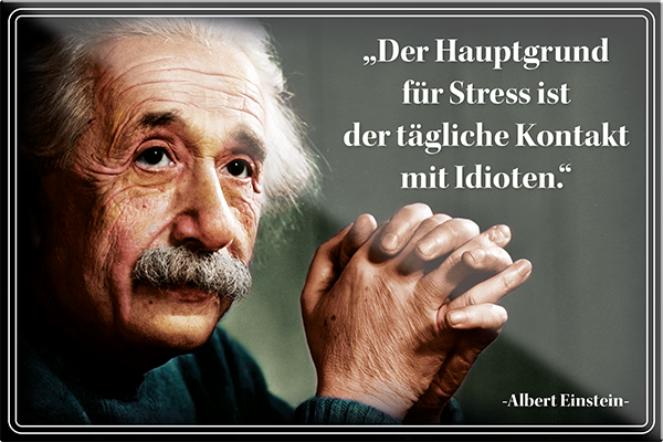 4252024229851	Schilderstore24	 ''Der Hauptgrund für Stress (Einstein)''Schilderstore24 Blechschilder sind perfekt als Geschenk zu Weihnachten, Geburtstage, Feiern, Partys, Grillabende, Namenstag, Feiertag, Mädelsabend, Hochzeit. Jederzeit stilvoll im Wohnzimmer, Partykeller, Garage, Praxis, Büro, Café, Hauseingang Tiefsinnig Albert Einstein Weisheiten wahrheit sprichwort lebensweisheit philosoph