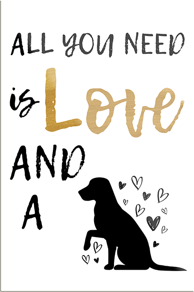 4252024230802	Schilderstore24	 ''All you need is Love and a dog''Schilderstore24 Blechschilder sind perfekt als Geschenk zu Weihnachten, Geburtstage, Feiern, Partys, Grillabende, Namenstag, Feiertag, Mädelsabend, Hochzeit Wohnzimmer, Partykeller, Garage, Praxis, Büro, Café, Hauseingang Haustier Tier Freund knuddelig Zuhause Katze Hund Hamster Meerschwein haustier