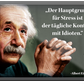 Magnete ''Albert Einstein 4 von 4'' 9x6cm&8cm diverse Varianten vom beliebten Physiker