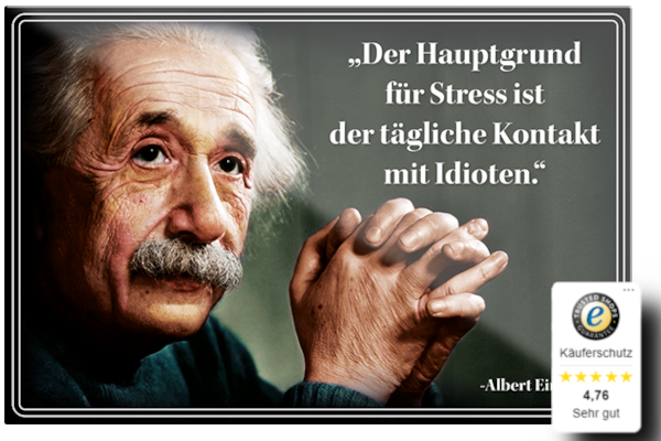 Magnete ''Albert Einstein 4 von 4'' 9x6cm&8cm diverse Varianten vom beliebten Physiker