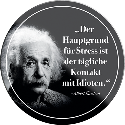 4252024232691	Schilderstore24	 ''Der Hauptgrund für Stress (Einstein)''Schilderstore24 Blechschilder sind perfekt als Geschenk zu Weihnachten, Geburtstage, Feiern, Partys, Grillabende, Namenstag, Feiertag, Mädelsabend, Hochzeit. Jederzeit stilvoll im Wohnzimmer, Partykeller, Garage, Praxis, Büro, Café, Hauseingang Tiefsinnig Albert Einstein Weisheiten wahrheit sprichwort lebensweisheit philosoph