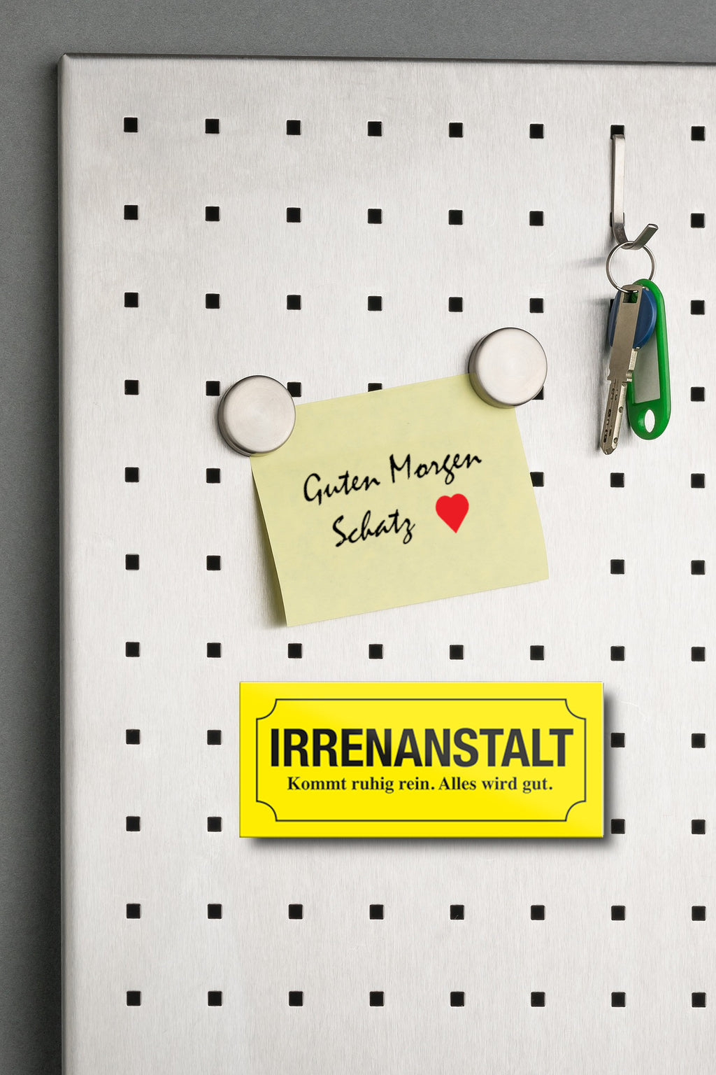 Magnet ''Irrenanstalt'' 9,3x4cm