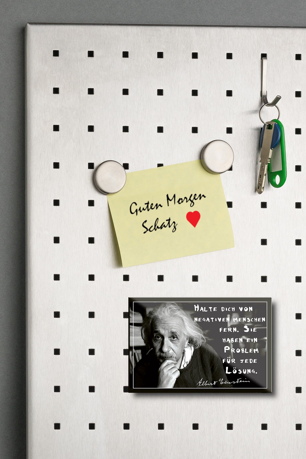Magnet ''Halte dich von negativen Menschen fern (Einstein)'' 9x6x0,3cm