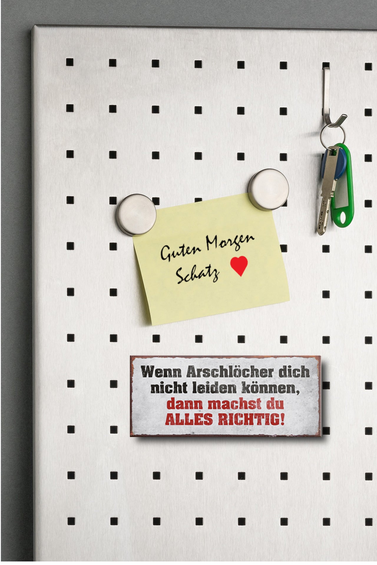 Magnet ''Wenn Arschlöcher dich nicht leiden können Alles richtg'' 9,3x4cm