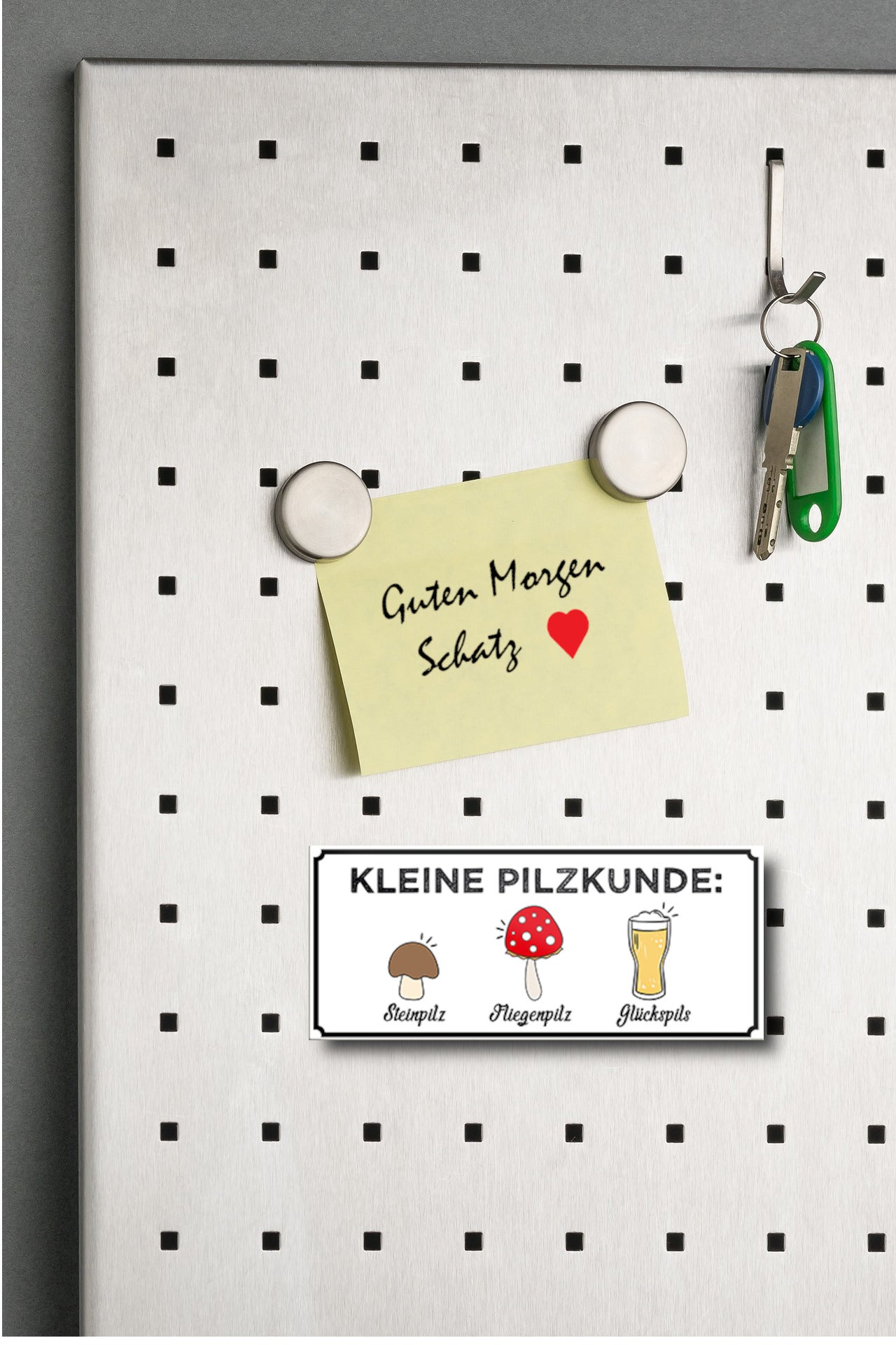 Magnet ''Kleine Pilzkunde'' 9,3x4cm