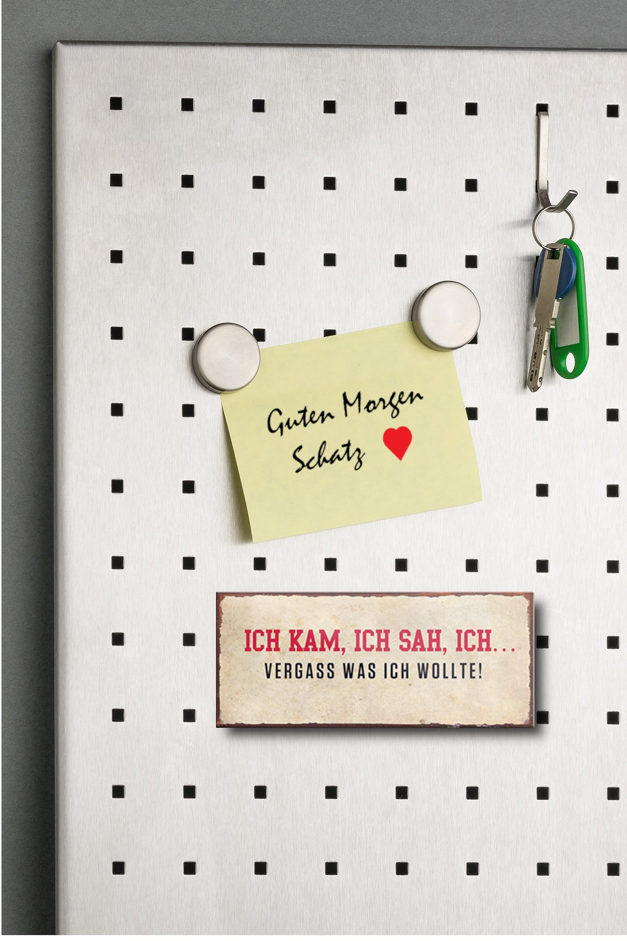 Magnet ''Ich Kam, Ich Sah, Ich Vergass'' 9,3x4cm – Schilderstore24