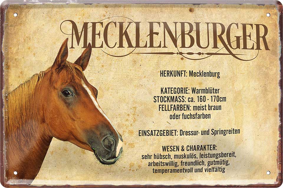 4252024218855 Schilderstore24 	Schilderstore24 Blechschilder sind perfekt als Geschenk zu Weihnachten, Geburtstage, Feiern, Partys, Grillabende, Namenstag, Feiertag, Mädelsabend, Hochzeit. Jederzeit stilvoll im Wohnzimmer, Partykeller, Garage, Praxis, Büro, Café, Hauseingang Nutztier Pferd Reiten Pony Stall sattel ausreiten pferd tier landwirtschaft ''Mecklenburger''		20x30cm