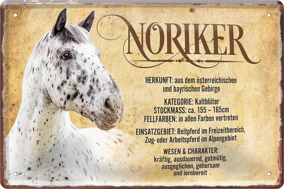 4252024218862 Schilderstore24 Schilderstore24 Blechschilder sind perfekt als Geschenk zu Weihnachten, Geburtstage, Feiern, Partys, Grillabende, Namenstag, Feiertag, Mädelsabend, Hochzeit. Jederzeit stilvoll im Wohnzimmer, Partykeller, Garage, Praxis, Büro, Café, Hauseingang Nutztier Pferd Reiten Pony Stall sattel ausreiten pferd tier landwirtschaft	 ''Noriker''		20x30cm