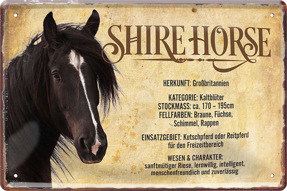 4252024218947 Schilderstore24 	Schilderstore24 Blechschilder sind perfekt als Geschenk zu Weihnachten, Geburtstage, Feiern, Partys, Grillabende, Namenstag, Feiertag, Mädelsabend, Hochzeit. Jederzeit stilvoll im Wohnzimmer, Partykeller, Garage, Praxis, Büro, Café, Hauseingang Nutztier Pferd Reiten Pony Stall sattel ausreiten pferd tier landwirtschaft ''Shire''		20x30cm