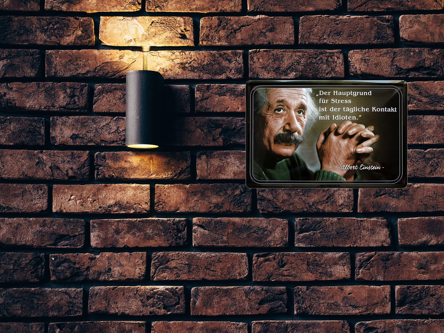Blechschild ''Der Hauptgrund für Stress (Einstein, linksgebundener Text)'' 20x30cm