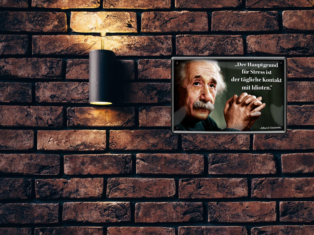 Blechschild ''Der Hauptgrund für Stress (Einstein, zentrierter Text)'' 20x30cm