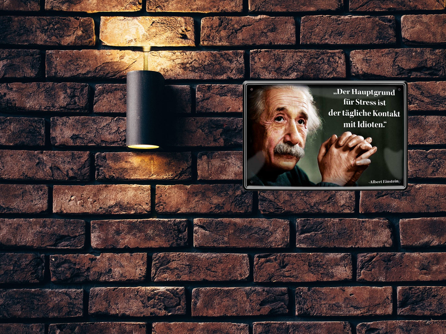 Blechschild ''Der Hauptgrund für Stress (Einstein, zentrierter Text)'' 20x30cm