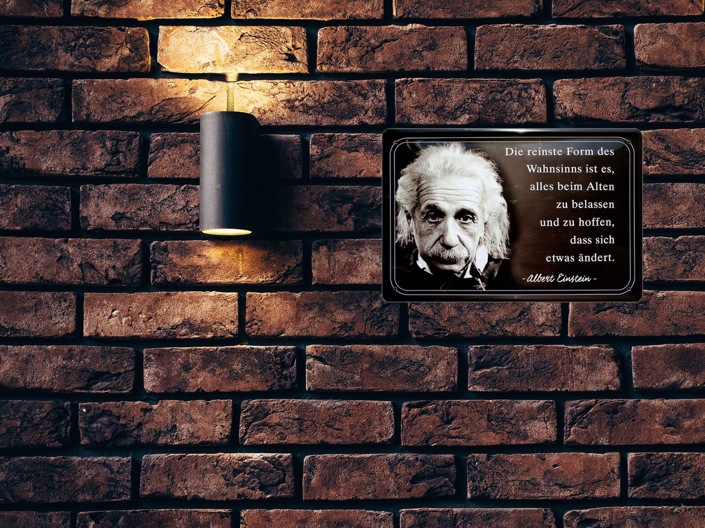 Blechschild ''Die reinste Form des Wahnsinns (Einstein)'' 20x30cm