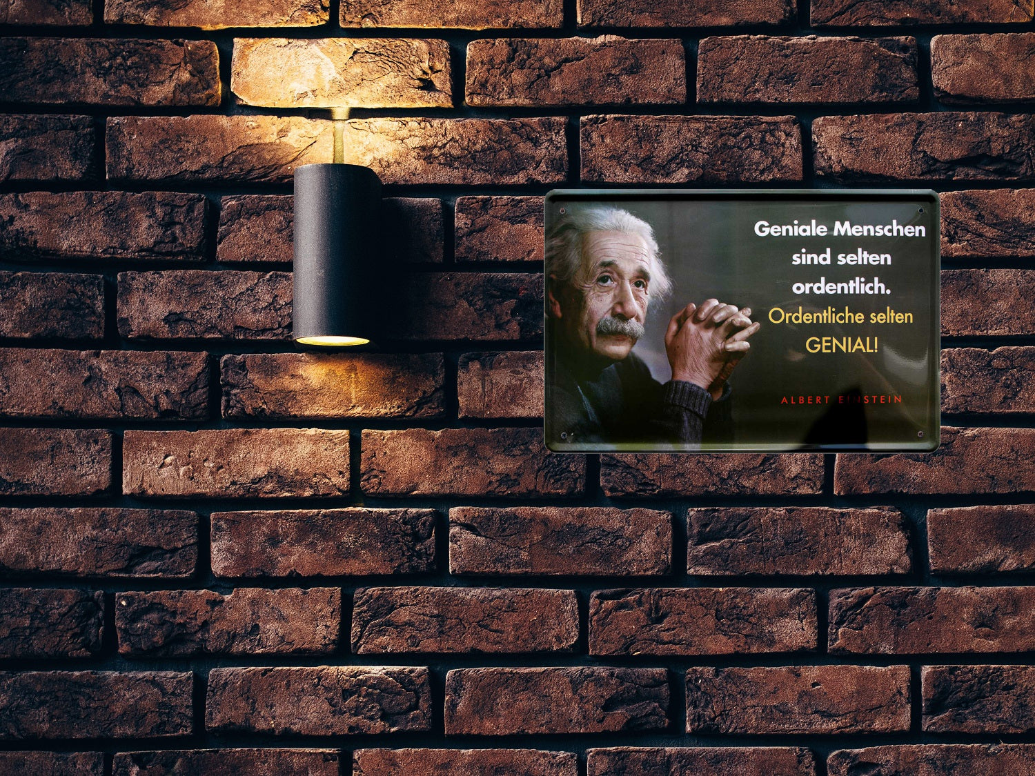 Blechschild ''Geniale Menschen sind selten ordentlich (Einstein)'' 20x30cm
