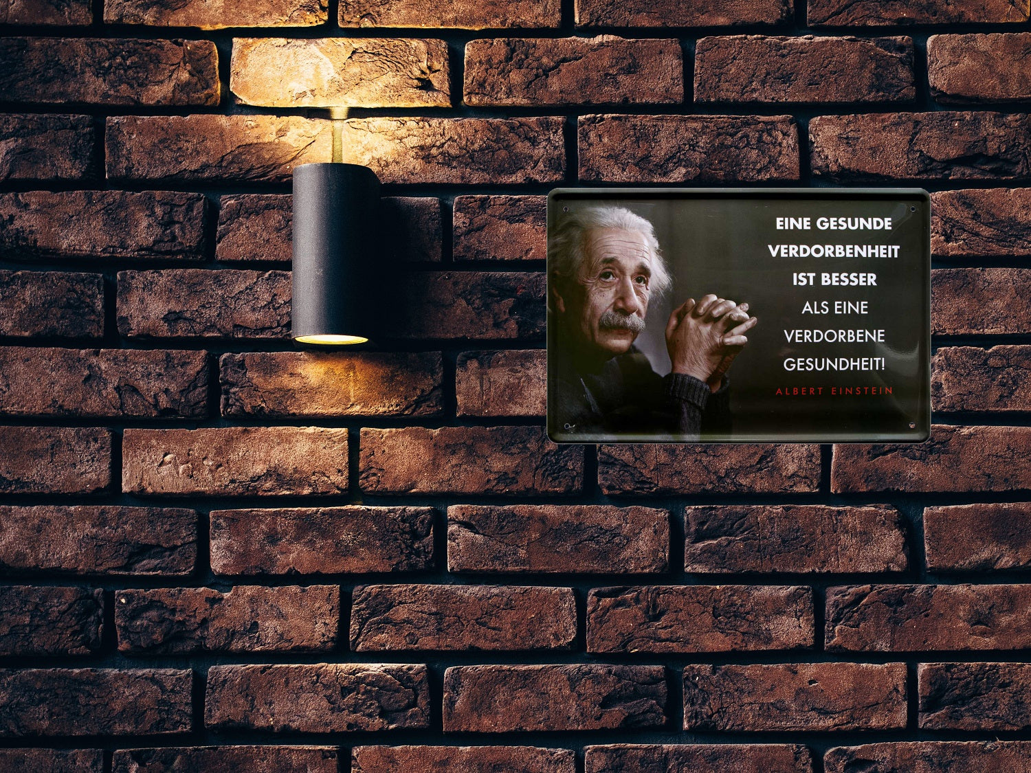 Blechschild ''Eine gesunde Verdorbenheit (Einstein)'' 20x30cm