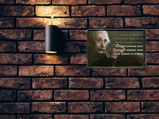 Blechschild ''Die Welt so wie wir sie geschaffen haben (Einstein)'' 20x30cm