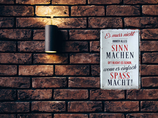 Blechschild ''Muss nicht alles Sinn machen, Spass machen (grau)'' 20x30cm