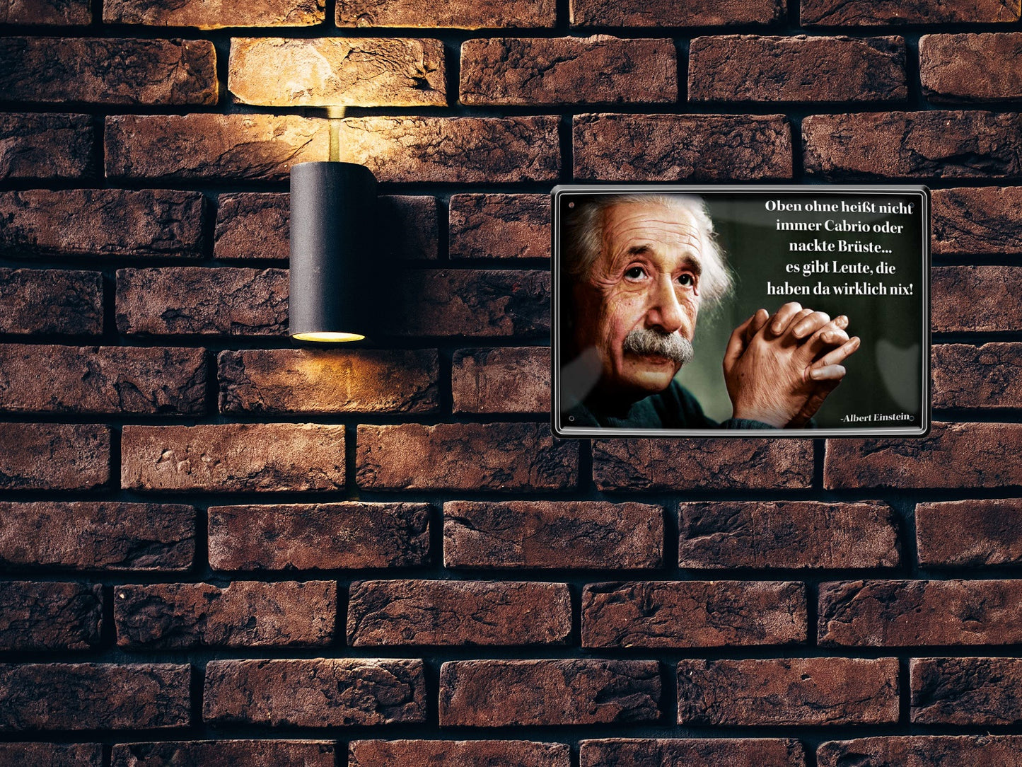 Blechschild ''Oben ohne heißt nicht immer (Einstein)'' 20x30cm