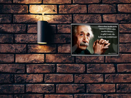 Blechschild ''Oben ohne heißt nicht immer (Einstein)'' 20x30cm