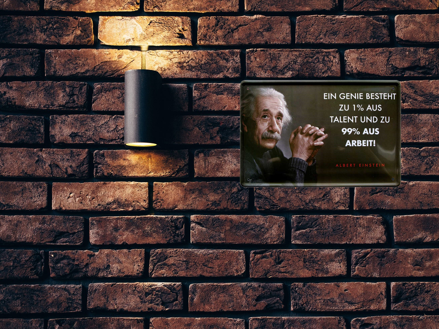 Blechschild ''Ein Genie besteht zu 1% (Einstein)'' 20x30cm