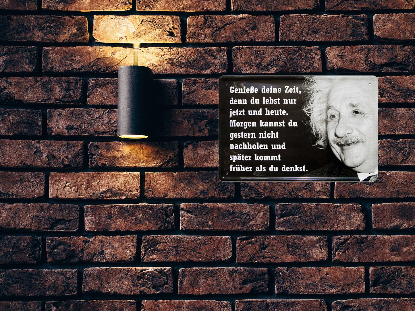 Blechschild ''Genieße deine Zeit, denn du lebst nur jetzt (Einstein)'' 20x30cm