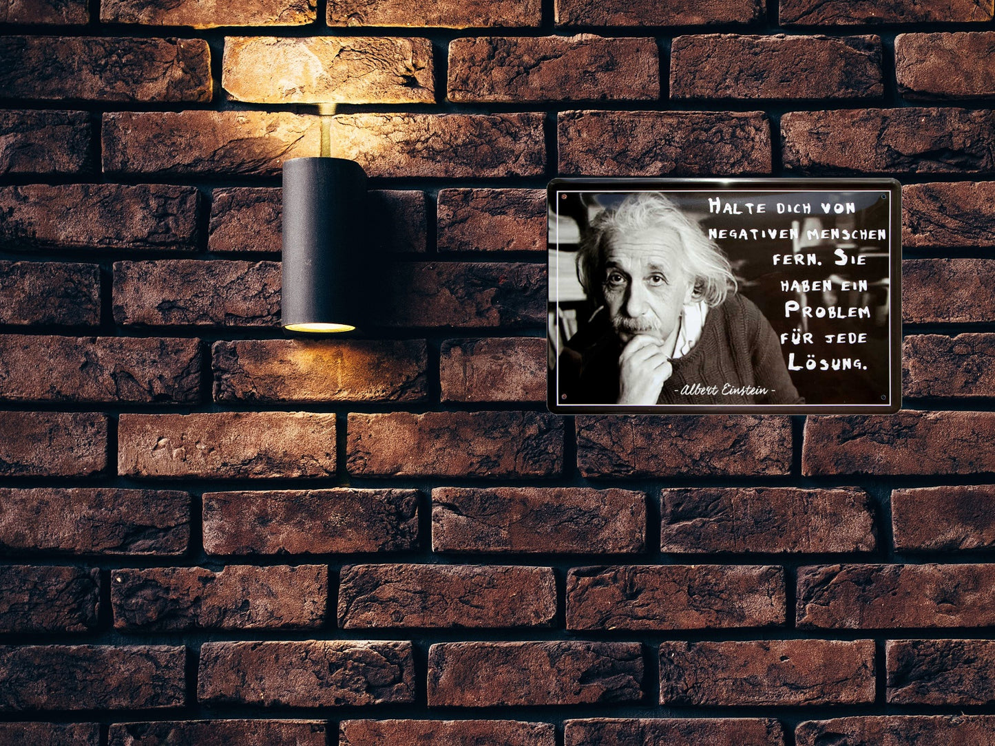 Blechschild ''Halte dich von negativen Menschen fern (Einstein)'' 20x30cm