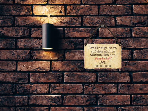 Blechschild ''Der einzige Mist auf dem nichts wächst.. Pessimist'' 18x12cm
