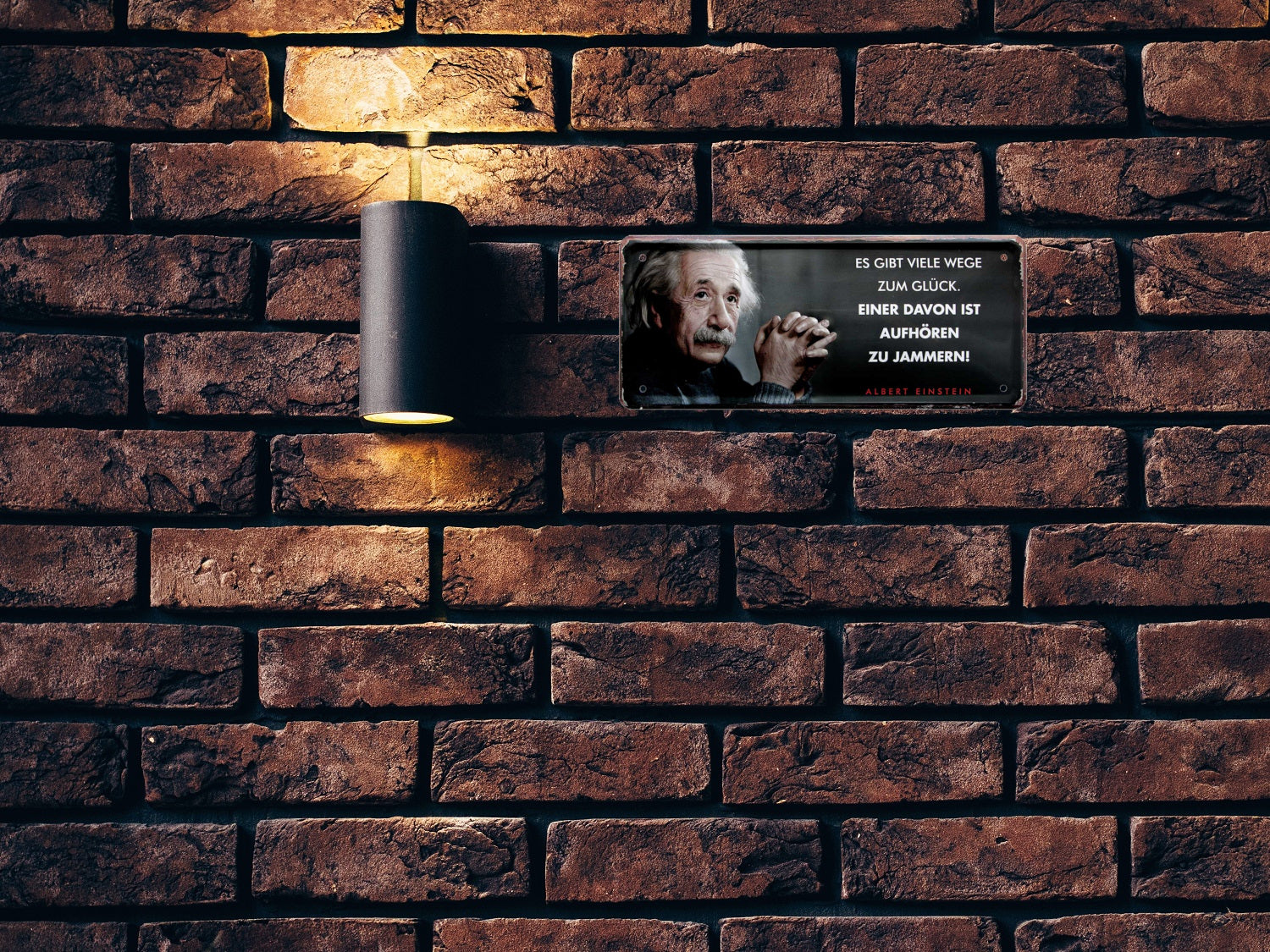 Blechschilder ''Albert Einstein 3 von 4'' 28x12cm diverse Varianten vom beliebten Physiker