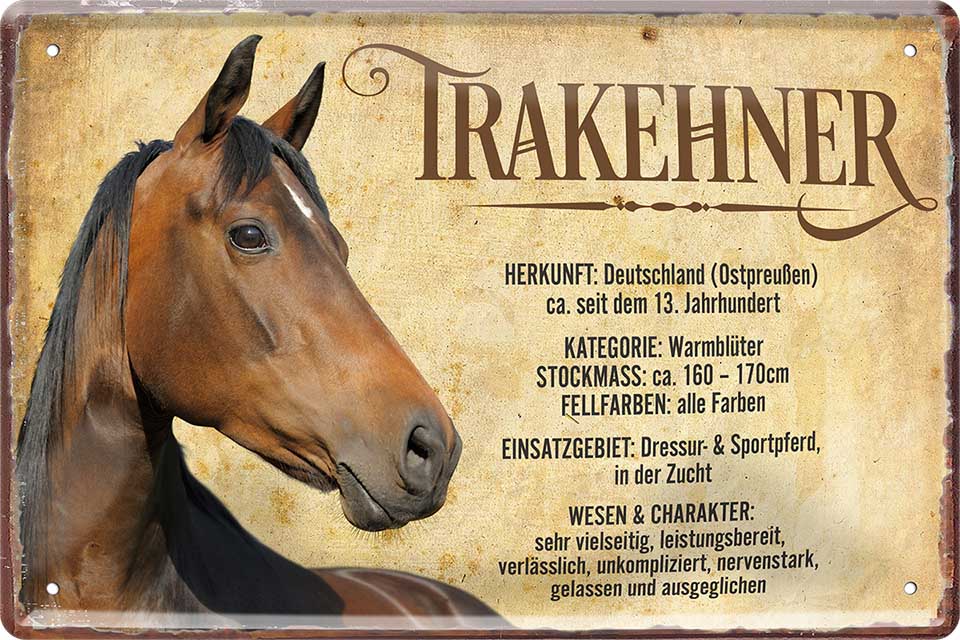 4252024218961 Schilderstore24 	Schilderstore24 Blechschilder sind perfekt als Geschenk zu Weihnachten, Geburtstage, Feiern, Partys, Grillabende, Namenstag, Feiertag, Mädelsabend, Hochzeit. Jederzeit stilvoll im Wohnzimmer, Partykeller, Garage, Praxis, Büro, Café, Hauseingang Nutztier Pferd Reiten Pony Stall sattel ausreiten pferd tier landwirtschaft ''Trakehner''		20x30cm