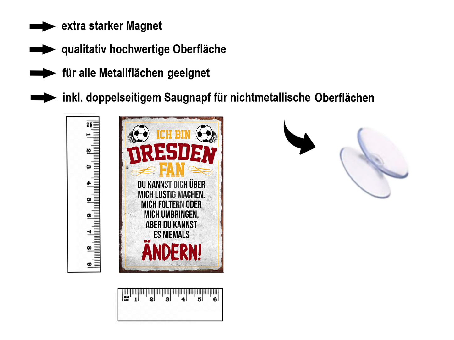Magnet ''Dresden Fan'' 9x6x0,3cm