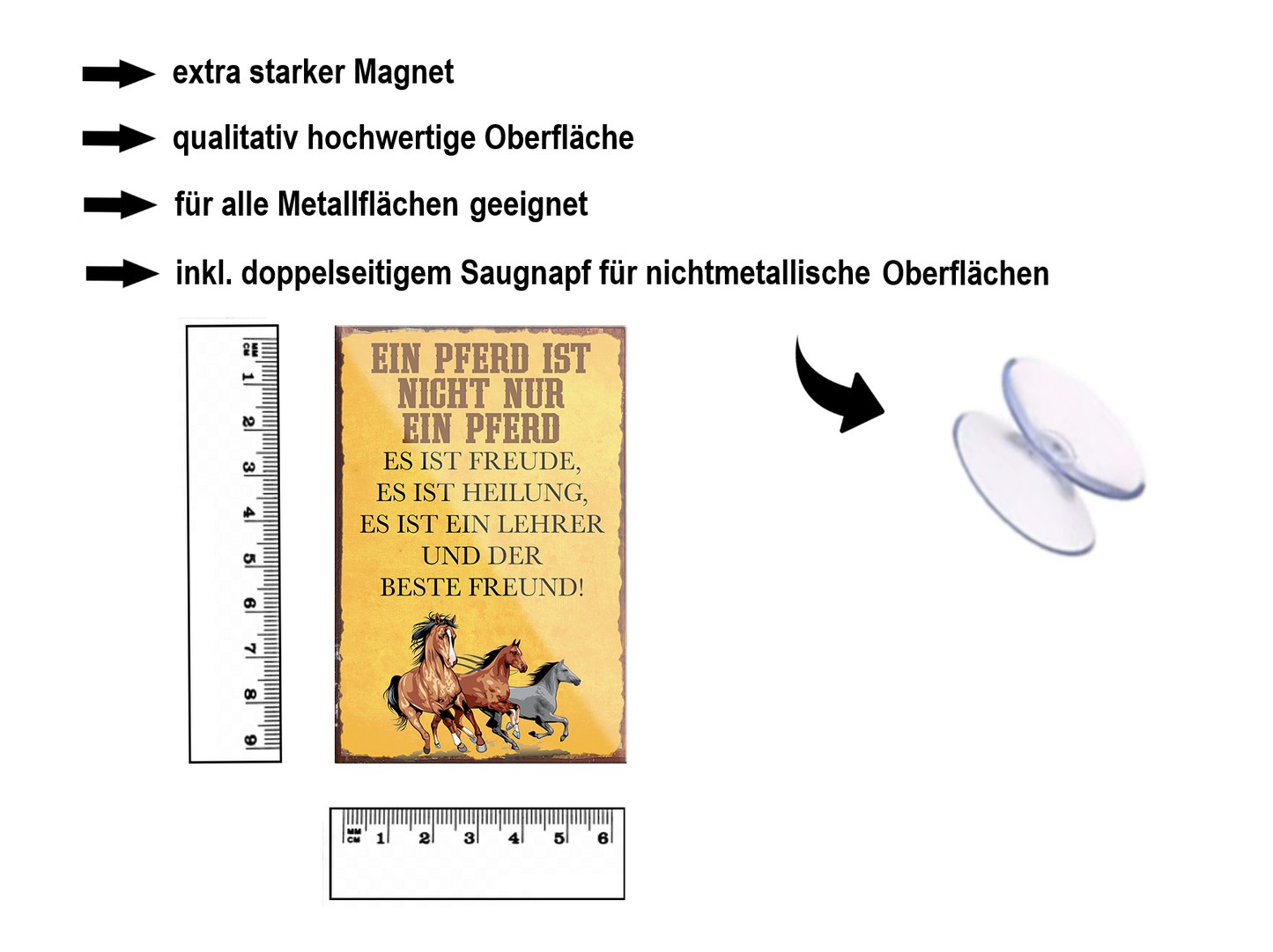Magnet ''Ein Pferd ist nicht nur ein Pferd beste Freund'' 9x6x0,3cm